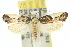  (Monopis monacha - 10ANIC-05111)  @15 [ ] CreativeCommons - Attribution (2010) CBG Photography Group Centre for Biodiversity Genomics