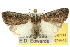  ( - 10ANIC-07741)  @15 [ ] CreativeCommons - Attribution (2010) CBG Photography Group Centre for Biodiversity Genomics