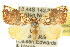  (Gabala - 10ANIC-08562)  @15 [ ] CreativeCommons - Attribution (2010) CBG Photography Group Centre for Biodiversity Genomics