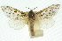  ( - 10ANIC-09694)  @15 [ ] CreativeCommons - Attribution (2010) CBG Photography Group Centre for Biodiversity Genomics