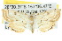 ( - 10ANIC-09094)  @15 [ ] CreativeCommons - Attribution (2010) CBG Photography Group Centre for Biodiversity Genomics
