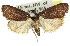 ( - 11ANIC-00763)  @12 [ ] CreativeCommons - Attribution (2011) ANIC/CBG Photography Group Centre for Biodiversity Genomics