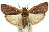  ( - 11ANIC-00855)  @11 [ ] CreativeCommons - Attribution (2011) ANIC/CBG Photography Group Centre for Biodiversity Genomics