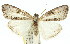  ( - 11ANIC-01388)  @13 [ ] CreativeCommons - Attribution (2011) ANIC/CBG Photography Group Centre for Biodiversity Genomics