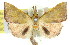  ( - 11ANIC-01489)  @13 [ ] CreativeCommons - Attribution (2011) ANIC/CBG Photography Group Centre for Biodiversity Genomics