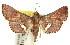  ( - 11ANIC-01507)  @14 [ ] CreativeCommons - Attribution (2011) ANIC/CBG Photography Group Centre for Biodiversity Genomics