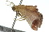  ( - 11ANIC-01820)  @12 [ ] CreativeCommons - Attribution (2011) ANIC/CBG Photography Group Centre for Biodiversity Genomics