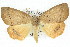  ( - 11ANIC-02139)  @11 [ ] CreativeCommons - Attribution (2011) ANIC/CBG Photography Group Centre for Biodiversity Genomics