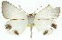  ( - 11ANIC-02173)  @13 [ ] CreativeCommons - Attribution (2011) ANIC/CBG Photography Group Centre for Biodiversity Genomics
