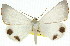  ( - 11ANIC-02175)  @11 [ ] CreativeCommons - Attribution (2011) ANIC/CBG Photography Group Centre for Biodiversity Genomics