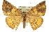  ( - 11ANIC-02245)  @13 [ ] CreativeCommons - Attribution (2011) ANIC/CBG Photography Group Centre for Biodiversity Genomics
