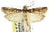  ( - 11ANIC-02315)  @11 [ ] CreativeCommons - Attribution (2011) ANIC/CBG Photography Group Centre for Biodiversity Genomics