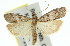  ( - 11ANIC-02358)  @14 [ ] CreativeCommons - Attribution (2011) ANIC/CBG Photography Group Centre for Biodiversity Genomics