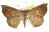  ( - 11ANIC-02376)  @11 [ ] CreativeCommons - Attribution (2011) ANIC/CBG Photography Group Centre for Biodiversity Genomics