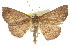  ( - 11ANIC-02377)  @13 [ ] CreativeCommons - Attribution (2011) ANIC/CBG Photography Group Centre for Biodiversity Genomics