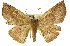  ( - 11ANIC-02391)  @11 [ ] CreativeCommons - Attribution (2011) ANIC/CBG Photography Group Centre for Biodiversity Genomics