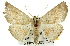  ( - 11ANIC-02401)  @15 [ ] CreativeCommons - Attribution (2011) ANIC/CBG Photography Group Centre for Biodiversity Genomics