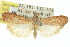  ( - 11ANIC-02654)  @13 [ ] CreativeCommons - Attribution (2011) ANIC/CBG Photography Group Centre for Biodiversity Genomics