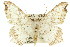  ( - 11ANIC-02886)  @11 [ ] CreativeCommons - Attribution (2011) ANIC/CBG Photography Group Centre for Biodiversity Genomics