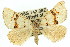  ( - 11ANIC-02902)  @11 [ ] CreativeCommons - Attribution (2011) ANIC/CBG Photography Group Centre for Biodiversity Genomics