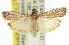  ( - 11ANIC-03421)  @13 [ ] CreativeCommons - Attribution (2011) ANIC/CBG Photography Group Centre for Biodiversity Genomics