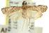  ( - 11ANIC-03476)  @11 [ ] CreativeCommons - Attribution (2011) ANIC/CBG Photography Group Centre for Biodiversity Genomics
