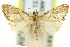  ( - 11ANIC-03885)  @11 [ ] CreativeCommons - Attribution (2011) ANIC/CBG Photography Group Centre for Biodiversity Genomics