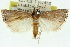  ( - 11ANIC-04662)  @13 [ ] CreativeCommons - Attribution (2011) ANIC/CBG Photography Group Centre for Biodiversity Genomics