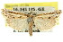  (Mesolia sp. ANIC2 - 11ANIC-04673)  @11 [ ] CreativeCommons - Attribution (2011) ANIC/CBG Photography Group Centre for Biodiversity Genomics