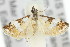  ( - 11ANIC-04026)  @12 [ ] CreativeCommons - Attribution (2011) ANIC/CBG Photography Group Centre for Biodiversity Genomics
