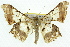 ( - 11ANIC-04138)  @15 [ ] CreativeCommons - Attribution (2011) ANIC/CBG Photography Group Centre for Biodiversity Genomics