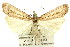  ( - 11ANIC-04200)  @14 [ ] CreativeCommons - Attribution (2011) ANIC/CBG Photography Group Centre for Biodiversity Genomics