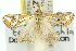  ( - 11ANIC-04220)  @13 [ ] CreativeCommons - Attribution (2011) ANIC/CBG Photography Group Centre for Biodiversity Genomics