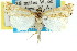  ( - 11ANIC-04470)  @14 [ ] CreativeCommons - Attribution (2011) ANIC/CBG Photography Group Centre for Biodiversity Genomics