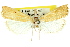  ( - 11ANIC-04501)  @13 [ ] CreativeCommons - Attribution (2011) ANIC/CBG Photography Group Centre for Biodiversity Genomics