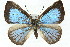  ( - 11ANIC-05822)  @14 [ ] CreativeCommons - Attribution (2011) ANIC/CBG Photography Group Centre for Biodiversity Genomics