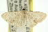  ( - 11ANIC-06126)  @12 [ ] CreativeCommons - Attribution (2011) ANIC/CBG Photography Group Centre for Biodiversity Genomics