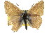  ( - 11ANIC-06358)  @12 [ ] CreativeCommons - Attribution (2011) ANIC/CBG Photography Group Centre for Biodiversity Genomics