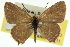  ( - 11ANIC-06360)  @11 [ ] CreativeCommons - Attribution (2011) ANIC/CBG Photography Group Centre for Biodiversity Genomics