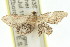  ( - 11ANIC-06449)  @13 [ ] CreativeCommons - Attribution (2011) ANIC/CBG Photography Group Centre for Biodiversity Genomics