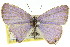  ( - 11ANIC-06679)  @11 [ ] CreativeCommons - Attribution (2011) ANIC/CBG Photography Group Centre for Biodiversity Genomics