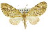  ( - 11ANIC-07305)  @11 [ ] CreativeCommons - Attribution (2011) ANIC/CBG Photography Group Centre for Biodiversity Genomics