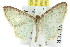  ( - 11ANIC-07698)  @11 [ ] CreativeCommons - Attribution (2011) ANIC/CBG Photography Group Centre for Biodiversity Genomics