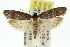  ( - 11ANIC-08361)  @12 [ ] CreativeCommons - Attribution (2011) ANIC/CBG Photography Group Centre for Biodiversity Genomics