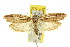  ( - 11ANIC-08427)  @13 [ ] CreativeCommons - Attribution (2011) ANIC/CBG Photography Group Centre for Biodiversity Genomics