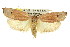  ( - 11ANIC-08589)  @14 [ ] CreativeCommons - Attribution (2011) ANIC/CBG Photography Group Centre for Biodiversity Genomics