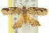  ( - 11ANIC-08798)  @14 [ ] CreativeCommons - Attribution (2011) ANIC/CBG Photography Group Centre for Biodiversity Genomics