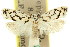  ( - 11ANIC-09484)  @14 [ ] CreativeCommons - Attribution (2011) ANIC/CBG Photography Group Centre for Biodiversity Genomics
