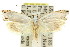  ( - 11ANIC-09929)  @13 [ ] CreativeCommons - Attribution (2011) ANIC/CBG Photography Group Centre for Biodiversity Genomics