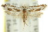  ( - 11ANIC-09975)  @11 [ ] CreativeCommons - Attribution (2011) ANIC/CBG Photography Group Centre for Biodiversity Genomics